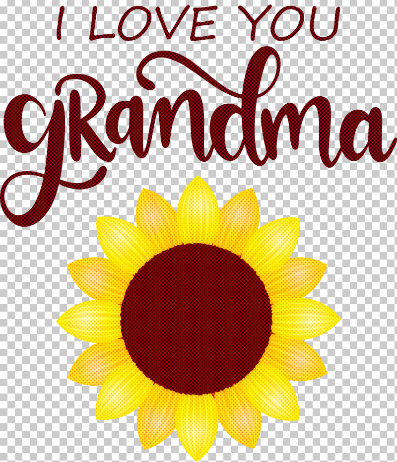 Grandmothers Day Grandma Grandma Day PNG, Clipart, Common Daisy, Common Sunflower, Cut Flowers, Daisy Family, Flower Free PNG Download