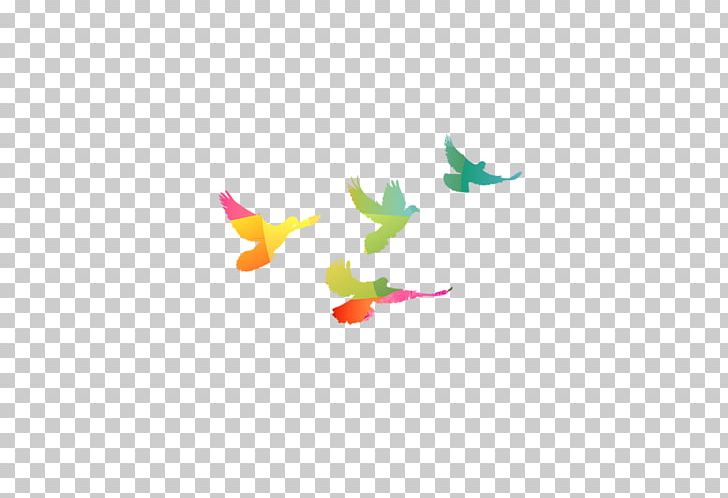 Columbidae Rock Dove Bird PNG, Clipart, Animals, Bird Cage, Birds, Color, Color Pencil Free PNG Download
