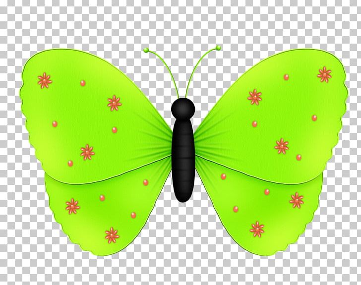 Drawing Pink Color Butterfly PNG, Clipart, Animation, Arthropod, Butterflies And Moths, Butterfly, Butterfly Free PNG Download