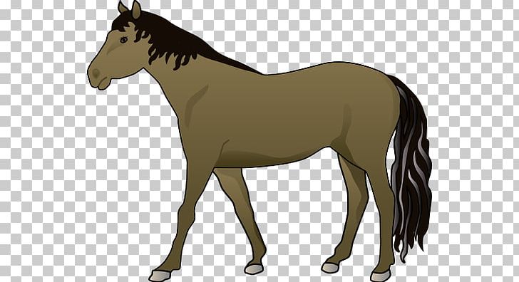Mustang Mule Wild Horse Illustration PNG, Clipart, Animal, Black, Bridle, Colt, Equus Free PNG Download