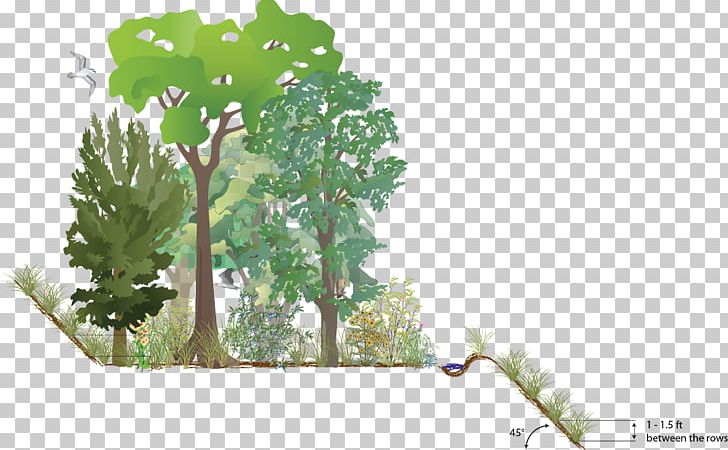 Plant Sand Quarry Tree Hotel PNG, Clipart, Beach, Branch, Family, Flowering Plant, Food Drinks Free PNG Download
