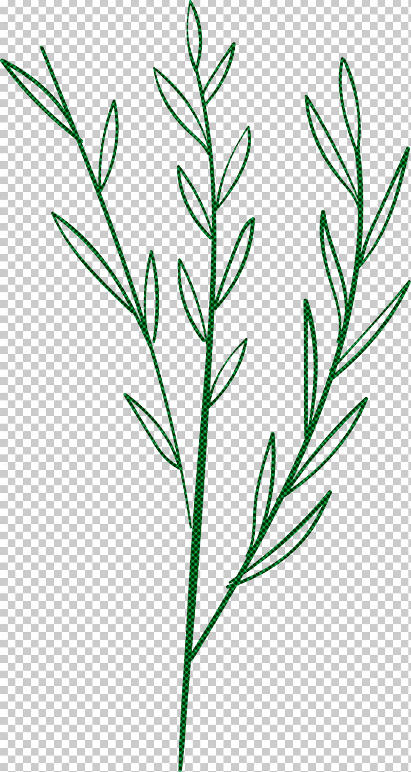 Simple Leaf Simple Leaf Drawing Simple Leaf Outline PNG, Clipart, Branch, Bud, Drawing, Grasses, Leaf Free PNG Download