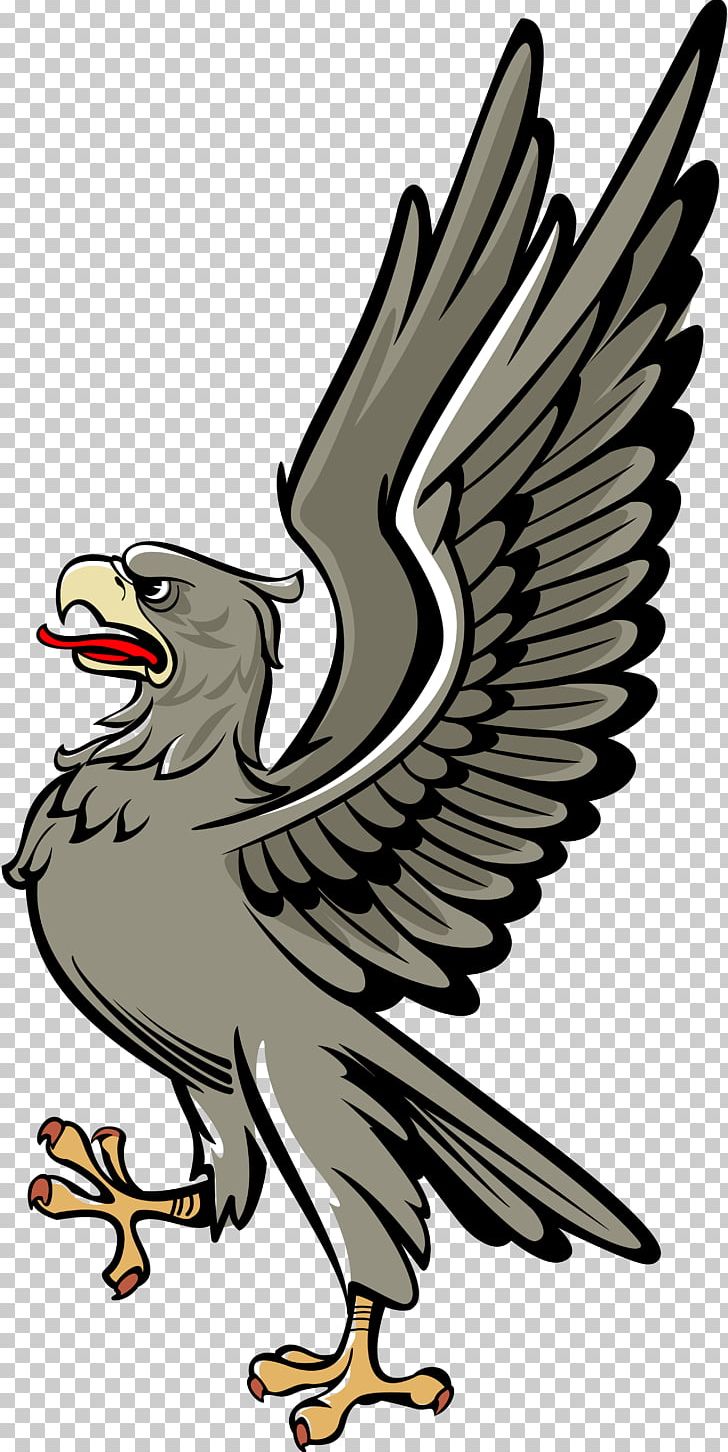 Bald Eagle Bird Heraldry PNG, Clipart, Animali Araldici, Animals, Bald Eagle, Beak, Bird Free PNG Download
