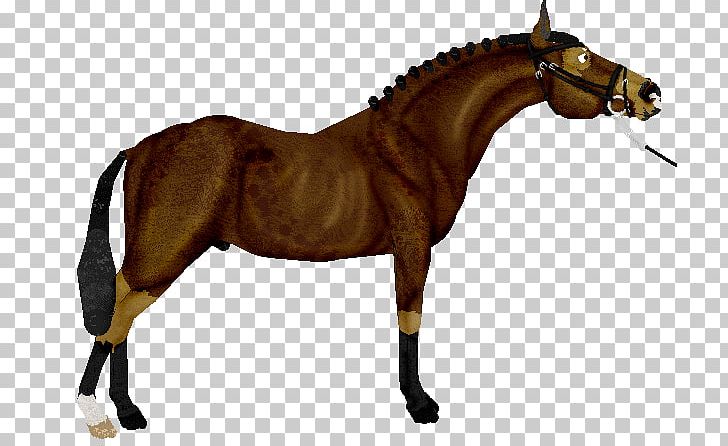 Rein Mustang Stallion Mane Mare PNG, Clipart, Bit, Bridle, Champion, Cross Country, Dressage Free PNG Download