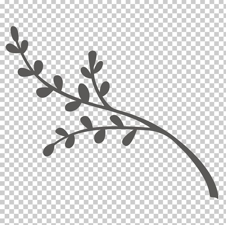 Cleveland Infant Twig Photography Northeast Ohio PNG, Clipart, Black And White, Branch, Cleveland, Infant, Information Free PNG Download