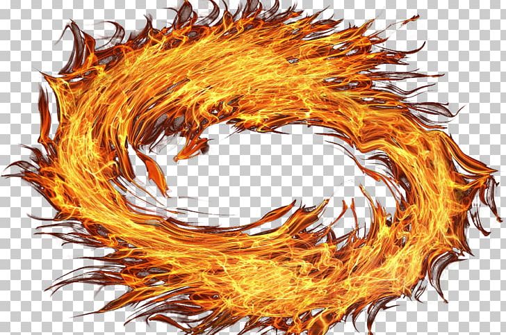 Fire PNG, Clipart, Apng, Computer Icons, Computer Wallpaper, Fire, Firefox Free PNG Download