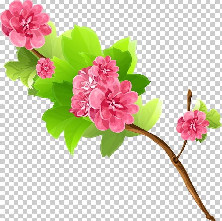 Flower Bouquet Branch PNG, Clipart, Auglis, Blossom, Branch, Cherry Blossom, Collage Free PNG Download