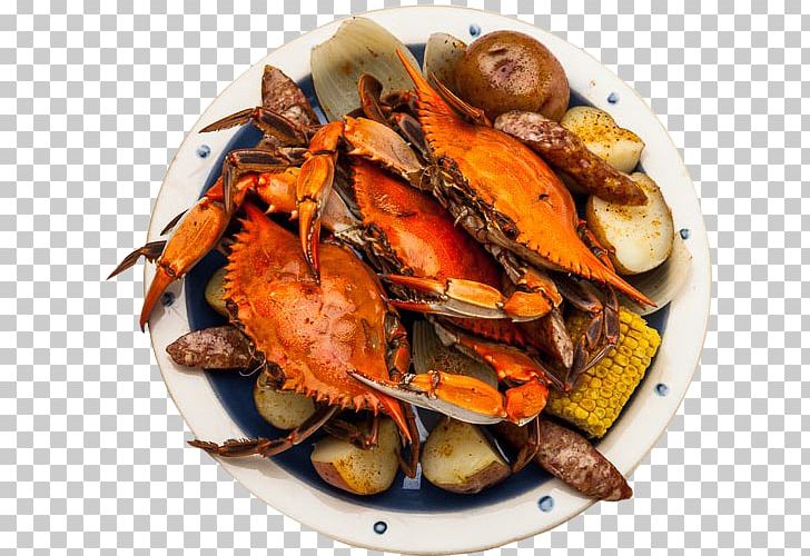 Crab Portuguese Cuisine Oyster Seafood PNG, Clipart, Animals, Animal Source Foods, Chesapeake Blue Crab, Crab, Crab Boil Free PNG Download