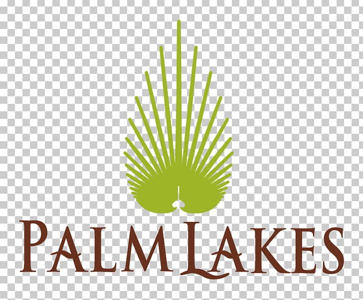 Logo Font Graphic Design Brand Leaf PNG, Clipart, Artwork, Brand, Graphic Design, Grass, Grass Family Free PNG Download