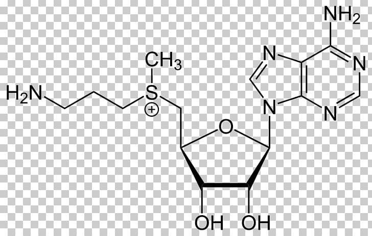 Adenosine Triphosphate Guanosine Triphosphate Chemistry Nucleotide PNG, Clipart, Adenosine, Adenosine Monophosphate, Adenosine Triphosphate, Angle, Chemistry Free PNG Download