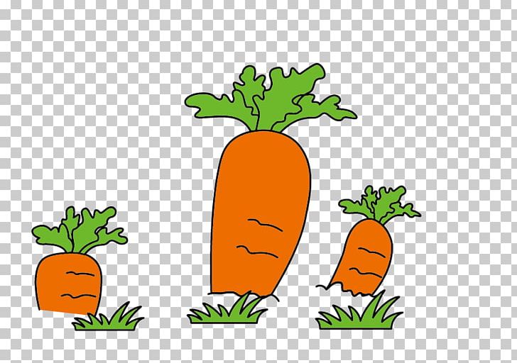 Rabbit Radish Creative Work Painting Illustration PNG, Clipart, Carrot, Carrot Cartoon, Carrot Juice, Carrot Vector, Cartoon Free PNG Download