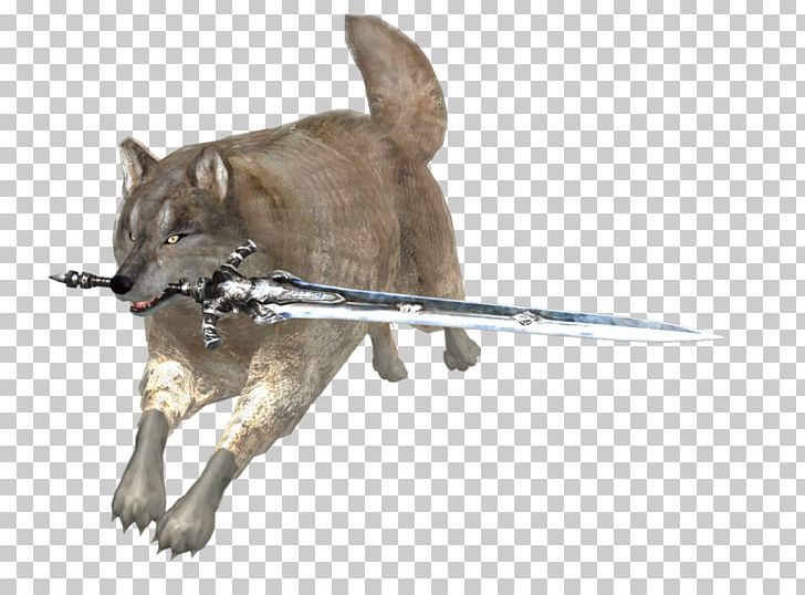 Czechoslovakian Wolfdog Dog Breed Fauna PNG, Clipart, Breed, Carnivoran, Czechoslovakia, Czechoslovakian Wolfdog, Dog Free PNG Download