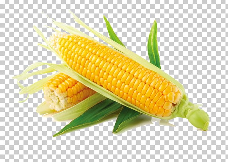 Organic Food Corn On The Cob Sweet Corn Fruit Vegetable PNG, Clipart, Bell Pepper, Cartoon Corn, Commodity, Corn, Corn Cartoon Free PNG Download