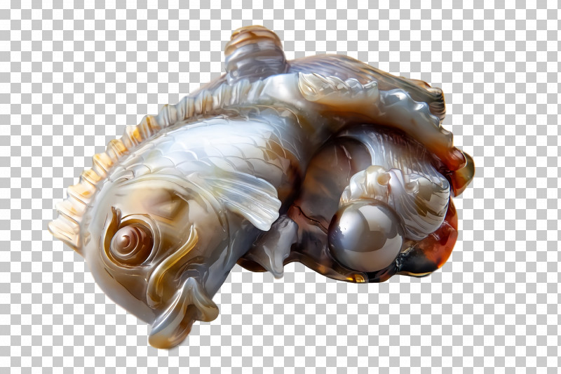 Sea Snail Conch Snail Sea PNG, Clipart, Conch, Sea, Sea Snail, Snail Free PNG Download