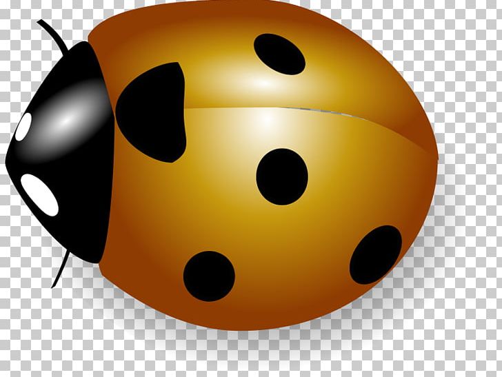 Computer Icons Ladybird Coccinella Png Clipart Beetle Coccinella Coccinelle Computer Icons Download Free Png Download