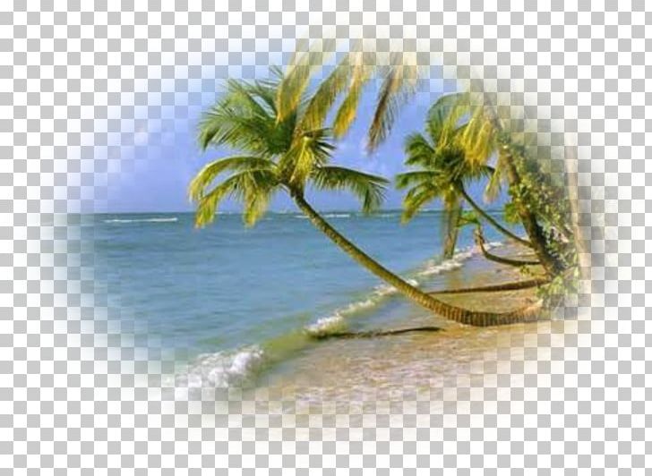 Shore Beach Cox's Bazar Jambiani Sea PNG, Clipart,  Free PNG Download