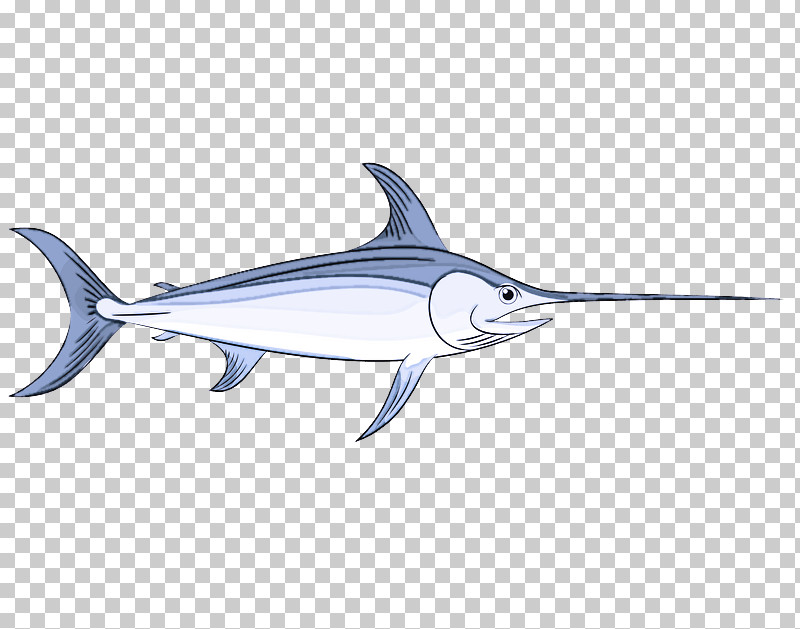 Shark PNG, Clipart, Bony Fishes, Cetaceans, Dolphin, Fish, Marlin Free PNG Download