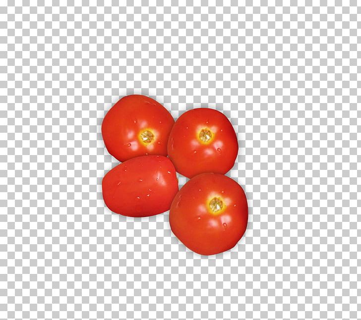 Plum Tomato Cherry Tomato Tomato Soup Bush Tomato PNG, Clipart, Bush Tomato, Cherry, Cherry Blossom, Diet Food, Food Free PNG Download