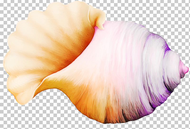 Pink Shankha Conch PNG, Clipart, Conch, Pink, Shankha Free PNG Download