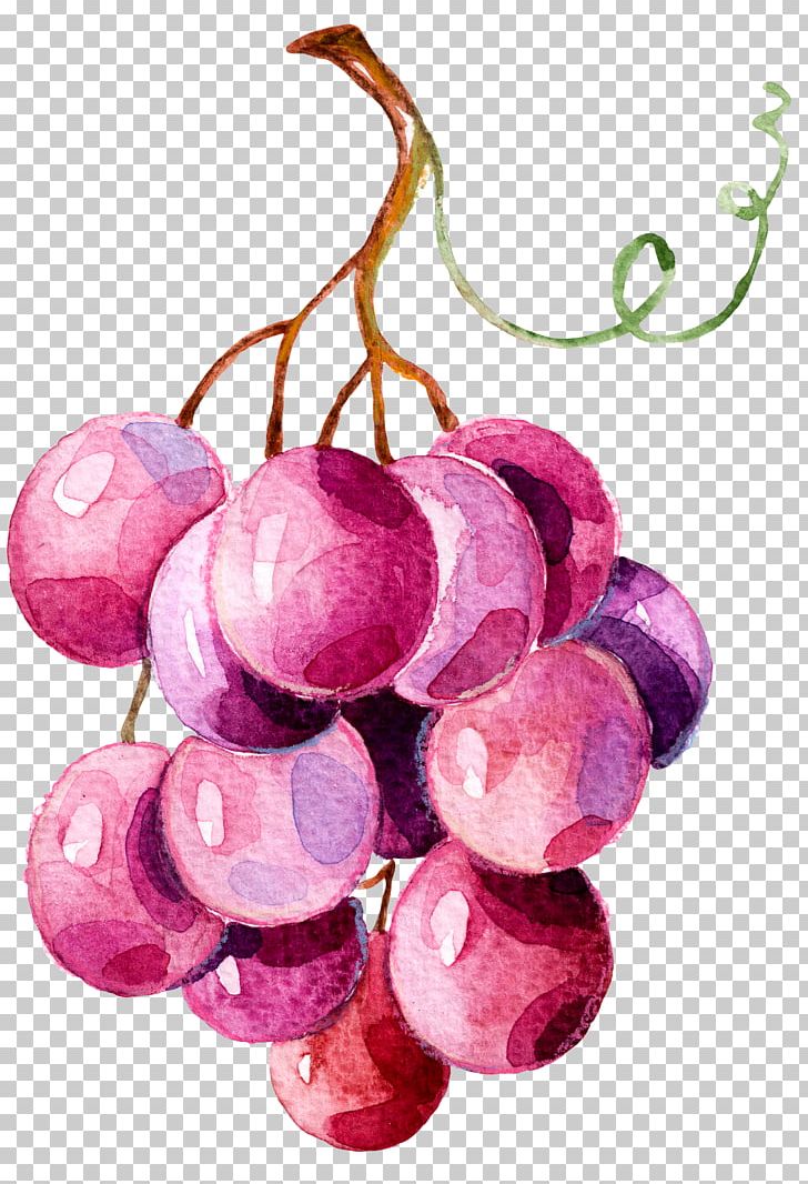 Grape Stock Photography Illustration PNG, Clipart, Bunch Of Flowers, Cherry, Drawing, Flower Bunch, Flowering Plant Free PNG Download