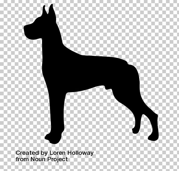 Great Dane Puppy Dog Breed PNG, Clipart, Animals, Black, Black And White, Breed, Carnivoran Free PNG Download