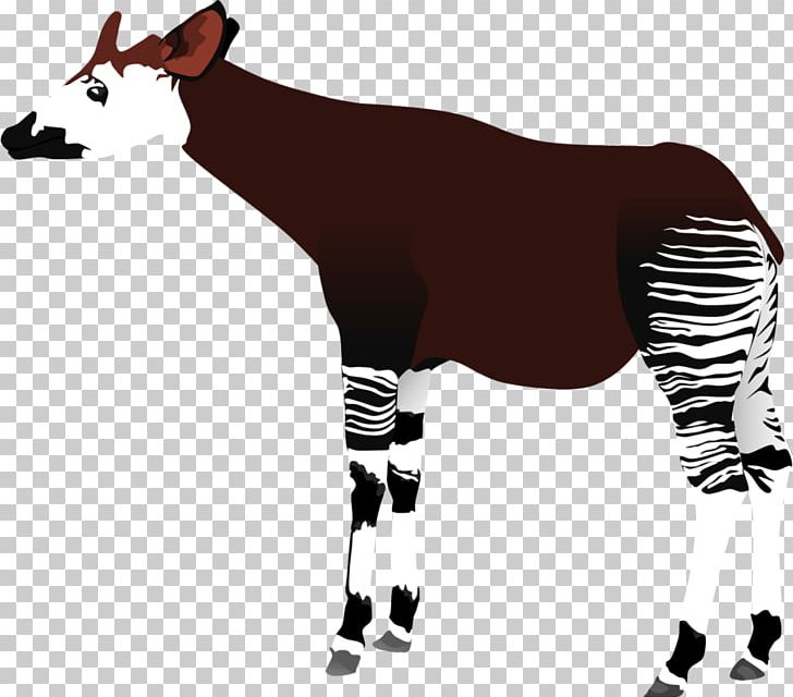 Okapi Giraffe Drawing PNG, Clipart, Animal, Animals, Democratic Republic Of The Congo, Drawing, Giraffe Free PNG Download