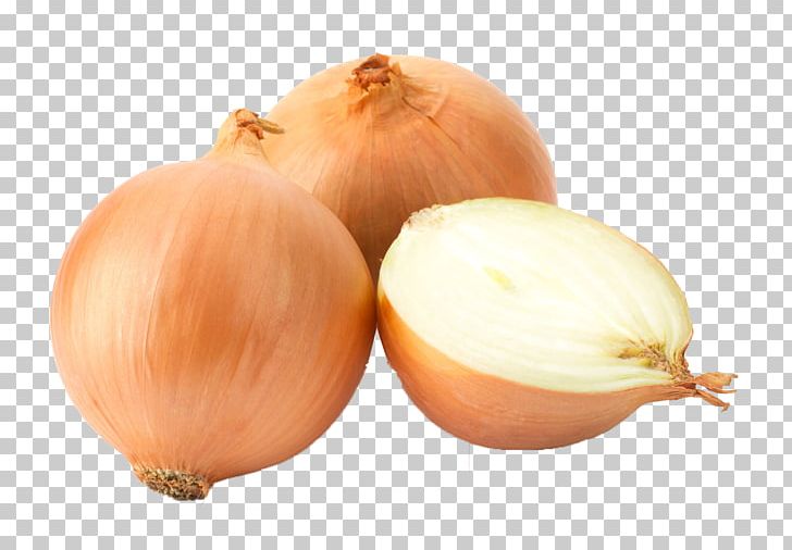 White Onion Yellow Onion Garlic Red Onion Scallion PNG, Clipart, Allium, Food, Fried Onion, Garlic, Glutenfree Diet Free PNG Download