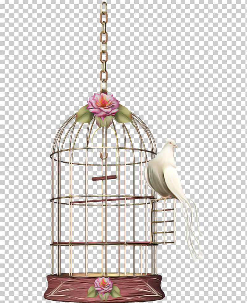 Cage Bird Supply Bird Pet Supply Ceiling Fixture PNG, Clipart, Bird, Bird Supply, Cage, Ceiling Fixture, Pet Supply Free PNG Download