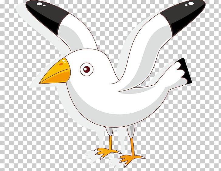 Rock Dove Cartoon Photography PNG, Clipart, Animal, Balloon Cartoon, Beak, Bird, Birds Free PNG Download