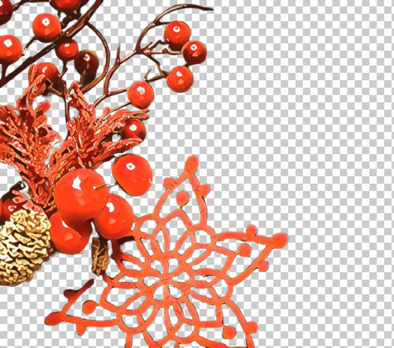 Plant Tree Superfruit Branch Fruit PNG, Clipart, Branch, Chinese Hawthorn, Fruit, Hawthorn, Plant Free PNG Download