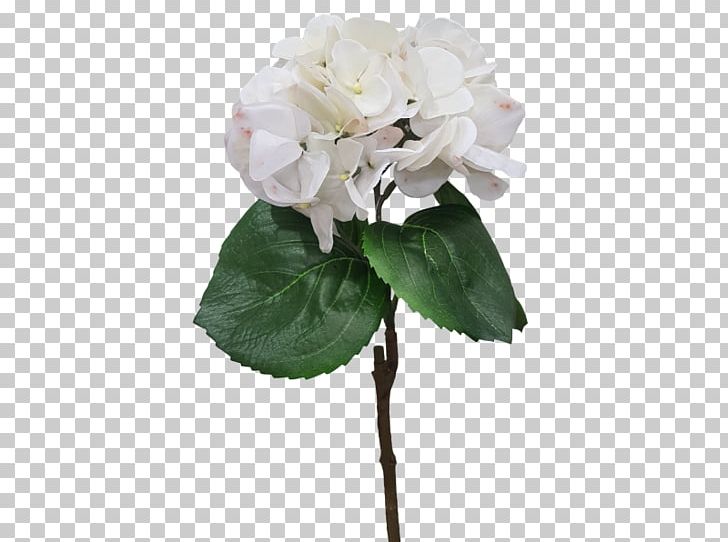Cabbage Rose Cut Flowers Flower Bouquet Plant Stem PNG, Clipart, Artificial Flower, Cornales, Cushion, Cut Flowers, Floral Design Free PNG Download