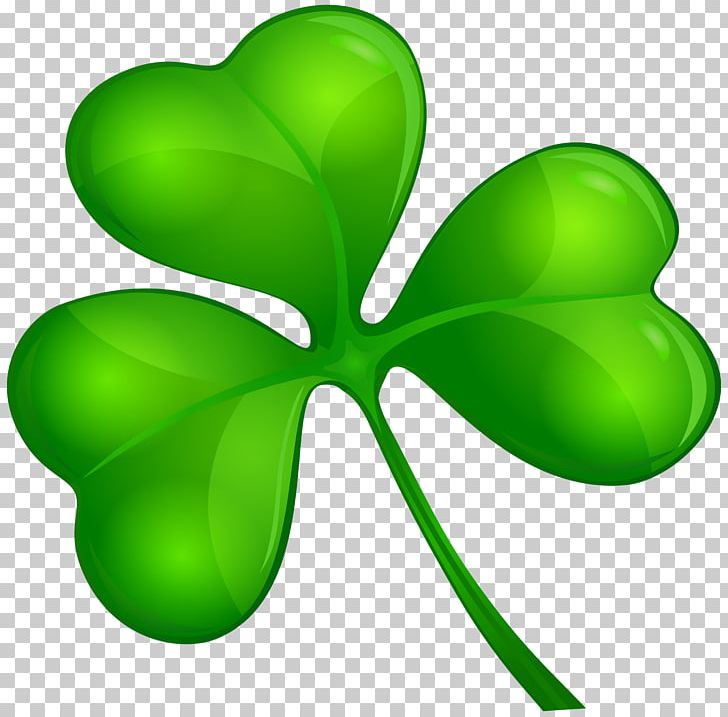 Shamrock Four-leaf Clover Trinity PNG, Clipart,  Free PNG Download