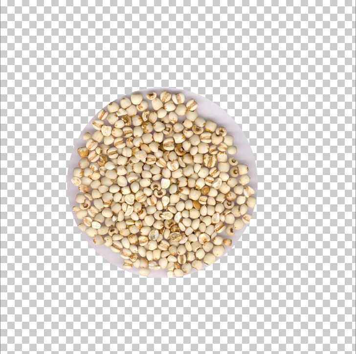 Sorghum Adlay Seed Extract Barley PNG, Clipart, Barley Farm, Barley Flour, Barley Splash, Barley Vector, Cereal Free PNG Download