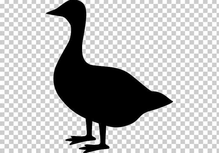 Bird Goose Ganso Computer Icons Photography PNG, Clipart, Animal, Animals, Beak, Bird, Black And White Free PNG Download