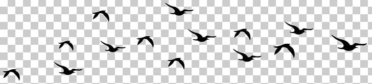 Bird Uncertainty Principle Position And Momentum Space Planck Constant PNG, Clipart, Angle, Beak, Bird, Bird Silhouette Cliparts, Black And White Free PNG Download