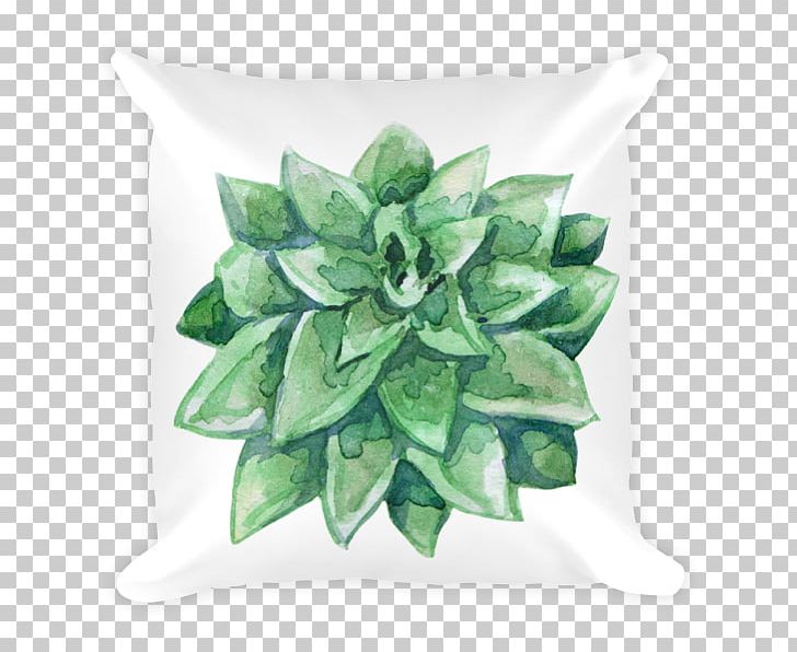 Succulent Plant Echeveria Cactaceae Pillow PNG, Clipart, Cactaceae, Echeveria, Furniture, Green, Houseplant Free PNG Download