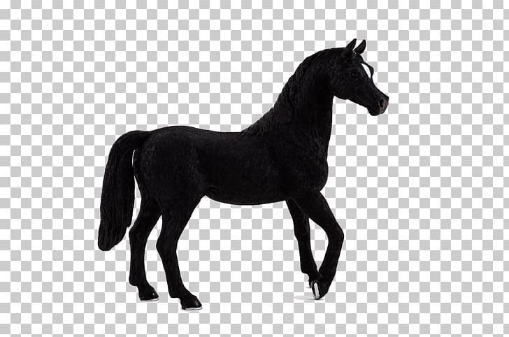 Arabian Horse Andalusian Horse Stallion Friesian Horse Mustang PNG, Clipart, Andalusian Horse, Animal, Arabian, Arabian Horse, Black Free PNG Download