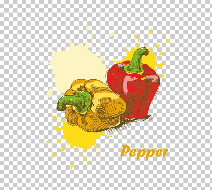 Breakfast Food Drawing Paint PNG, Clipart, Bell Pepper, Breakfast, Capsicum, Chili Pepper, Computer Wallpaper Free PNG Download