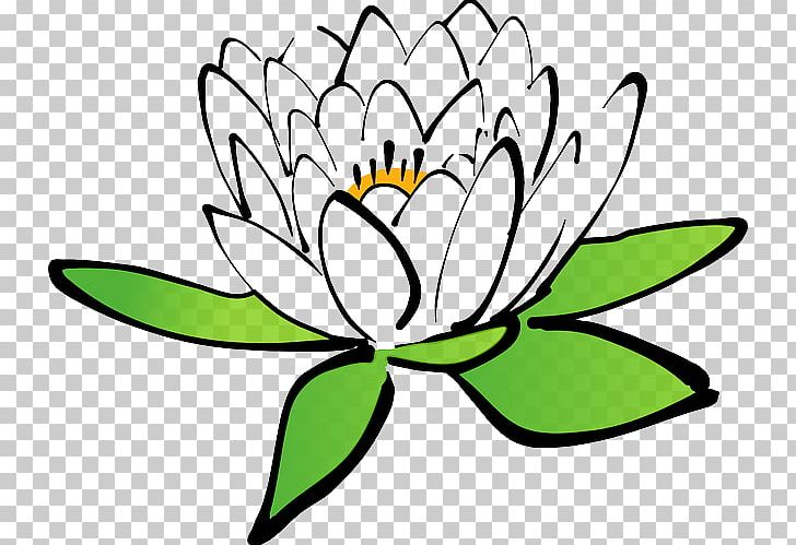 Nelumbo Nucifera PNG, Clipart, Art, Artwork, Black And White, Blog, Computer Icons Free PNG Download