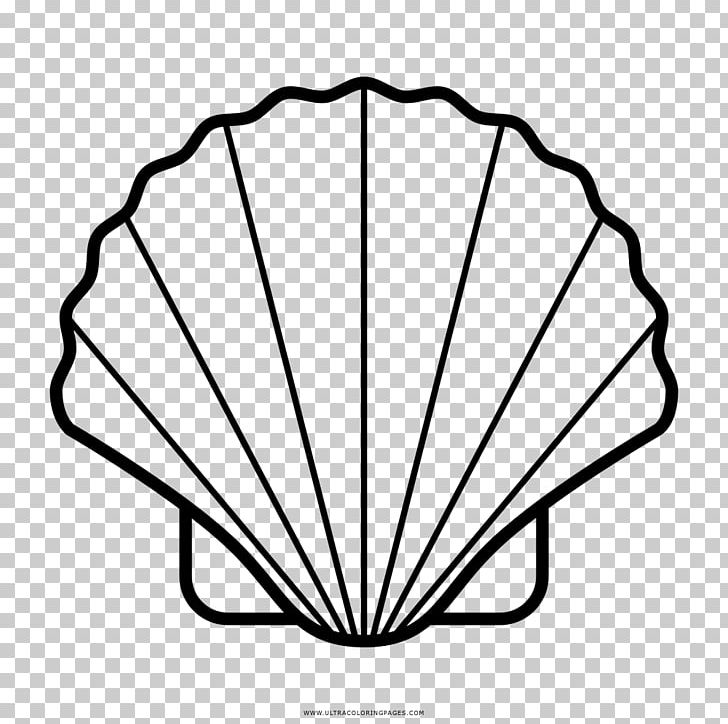 Seashell Drawing Wind Wave PNG, Clipart, Angle, Area, Black And White, Cape, Circle Free PNG Download