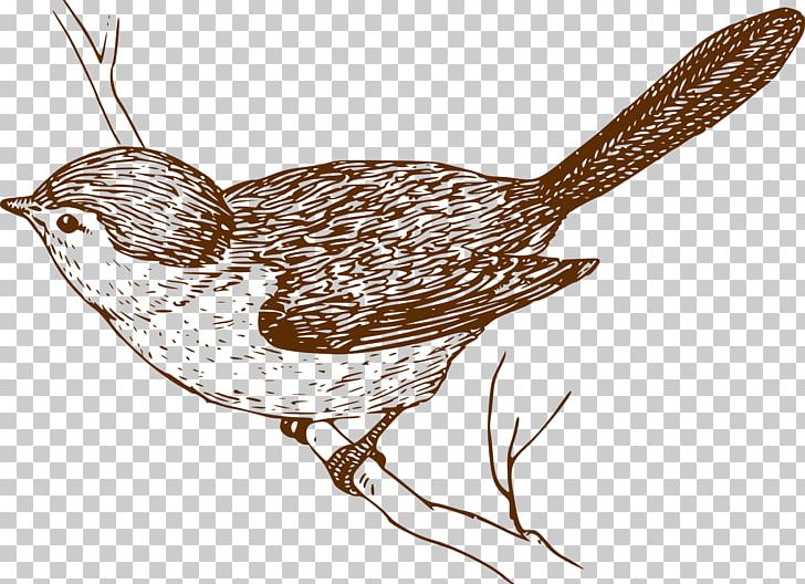 Bird Drawing PNG, Clipart, Animals, Art, Beak, Bird, Birdcage Free PNG Download
