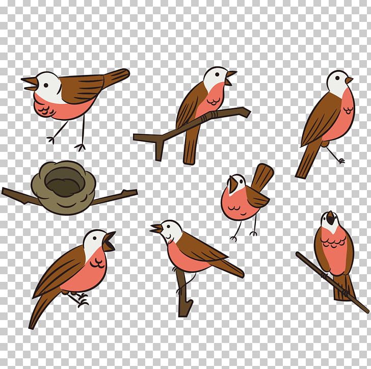 Bird Swallow PNG, Clipart, Animals, Animation, Beak, Bird Cage, Birds Free PNG Download