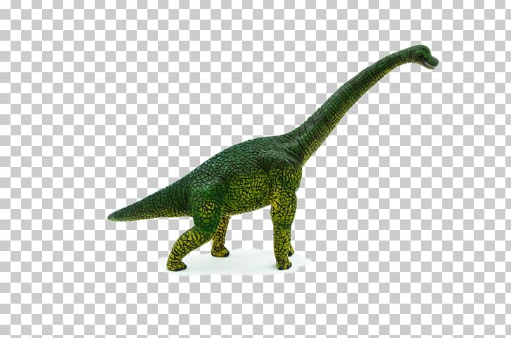 Brachiosaurus Prehistory Tyrannosaurus Dinosaur Stegosaurus PNG, Clipart, Animal Figure, Animal Planet, Bengal Tiger, Brachiosaurus, Dinosaur Free PNG Download