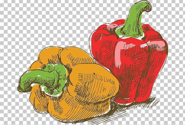 Chili Pepper PNG, Clipart, Art, Bell Pepper, Bell Peppers And Chili Peppers, Biber, Capsicum Free PNG Download