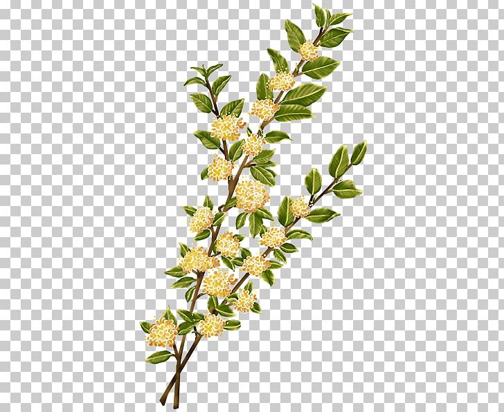 Flower Watercolor Painting Plant Stem PNG, Clipart, Branch, Chickadee, Computergenerated Imagery, Flower, Google Images Free PNG Download