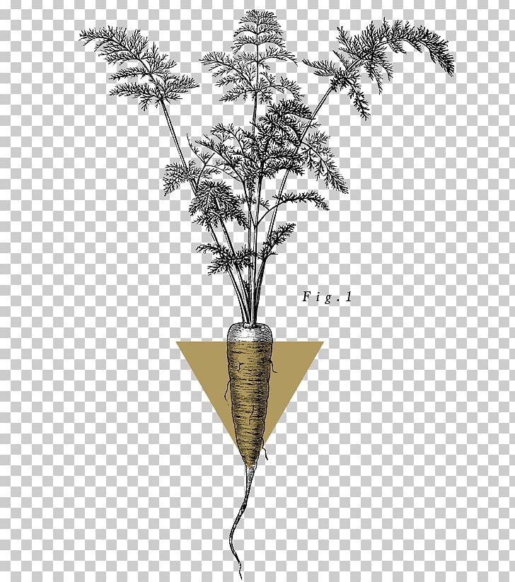 Twig Plant Stem Flowering Plant PNG, Clipart, Branch, Flora, Flowering Plant, Natural Selection, Others Free PNG Download