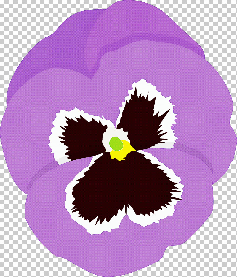PANSY Spring Flower PNG, Clipart, Cattleya, Flower, Iris, Pansy, Petal Free PNG Download