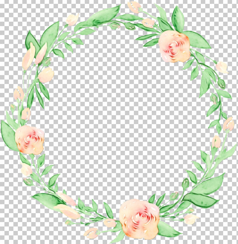 Floral Design PNG, Clipart, Biology, Branching, Cut Flowers, Floral Design, Flower Free PNG Download