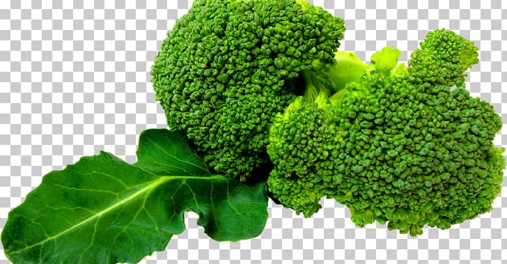 Broccoli Slaw Leaf Vegetable PNG, Clipart, Brassica Oleracea, Broccoli, Broccoli Slaw, Carrot, Cauliflower Free PNG Download