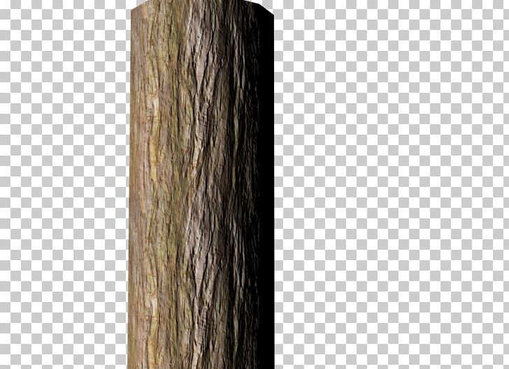 Wood Tree Stump Trunk Bark PNG, Clipart, 3d Computer Graphics, Angle, Bark, Digital Media, Hair Coloring Free PNG Download